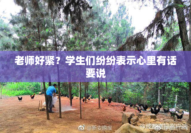 老师好紧？学生们纷纷表示心里有话要说