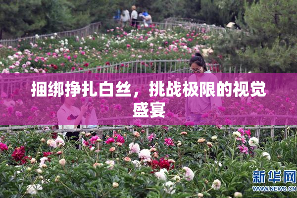 捆绑挣扎白丝，挑战极限的视觉盛宴