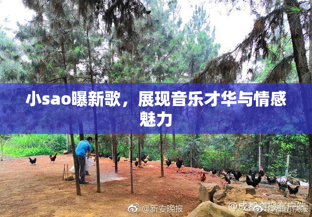 小sao曝新歌，展现音乐才华与情感魅力