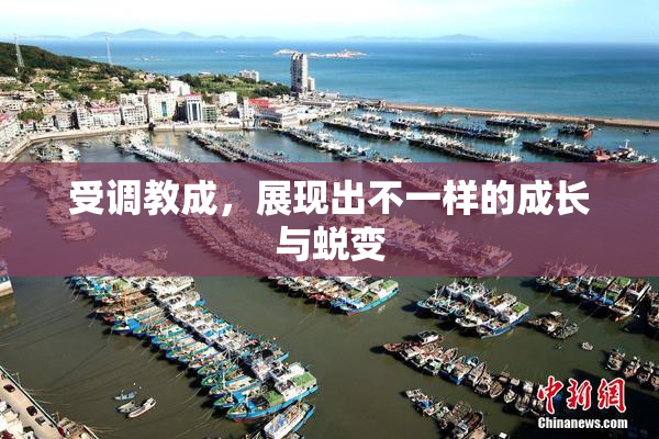 受调教成，展现出不一样的成长与蜕变
