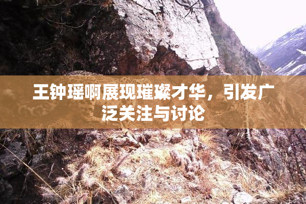 王钟瑶啊展现璀璨才华，引发广泛关注与讨论