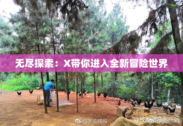 无尽探索：X带你进入全新冒险世界