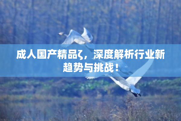 成人国产精品ζ，深度解析行业新趋势与挑战！