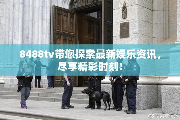 8488tv带您探索最新娱乐资讯，尽享精彩时刻！