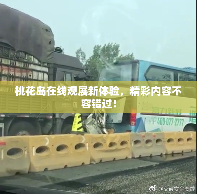 桃花岛在线观展新体验，精彩内容不容错过！