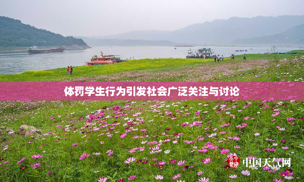 体罚学生行为引发社会广泛关注与讨论