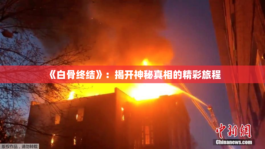 《白骨终结》：揭开神秘真相的精彩旅程