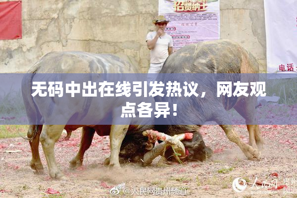 无码中出在线引发热议，网友观点各异！