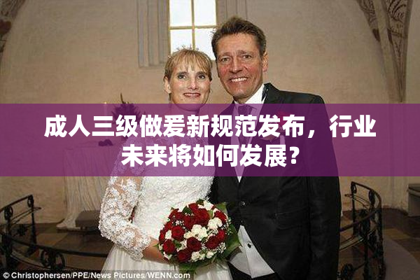 成人三级做爰新规范发布，行业未来将如何发展？