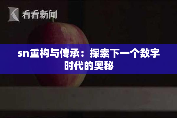 sn重构与传承：探索下一个数字时代的奥秘