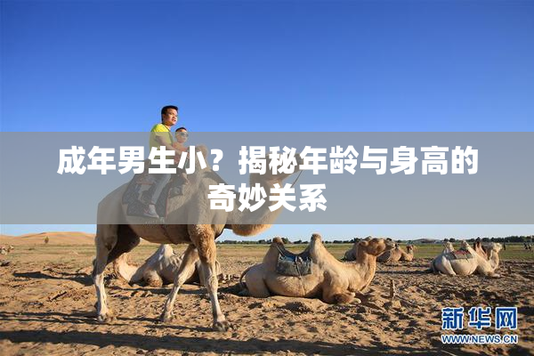 成年男生小？揭秘年龄与身高的奇妙关系