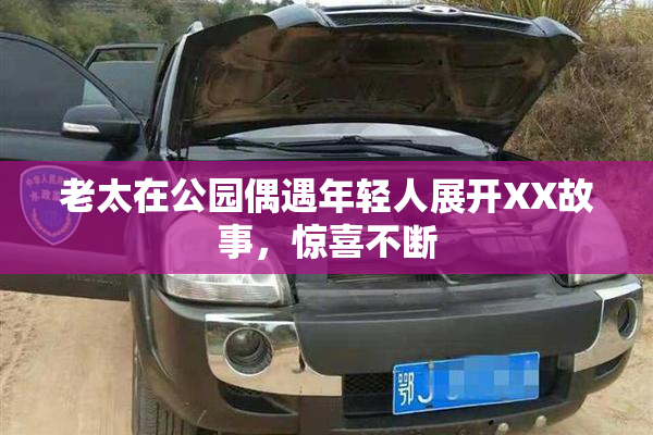 老太在公园偶遇年轻人展开XX故事，惊喜不断