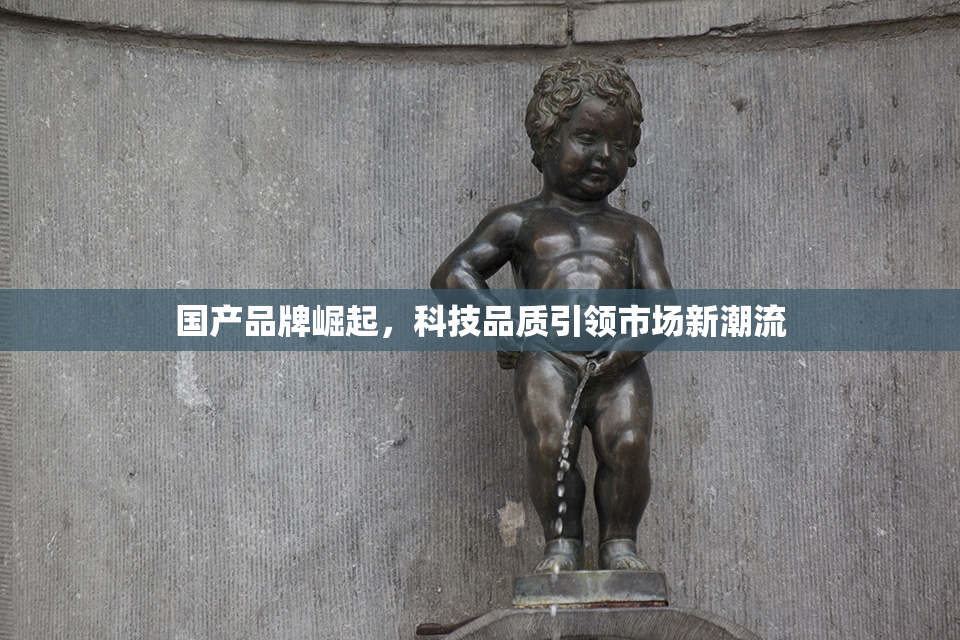 国产品牌崛起，科技品质引领市场新潮流