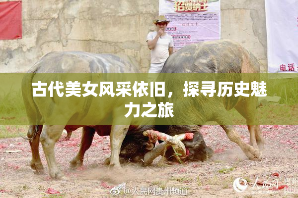 古代美女风采依旧，探寻历史魅力之旅