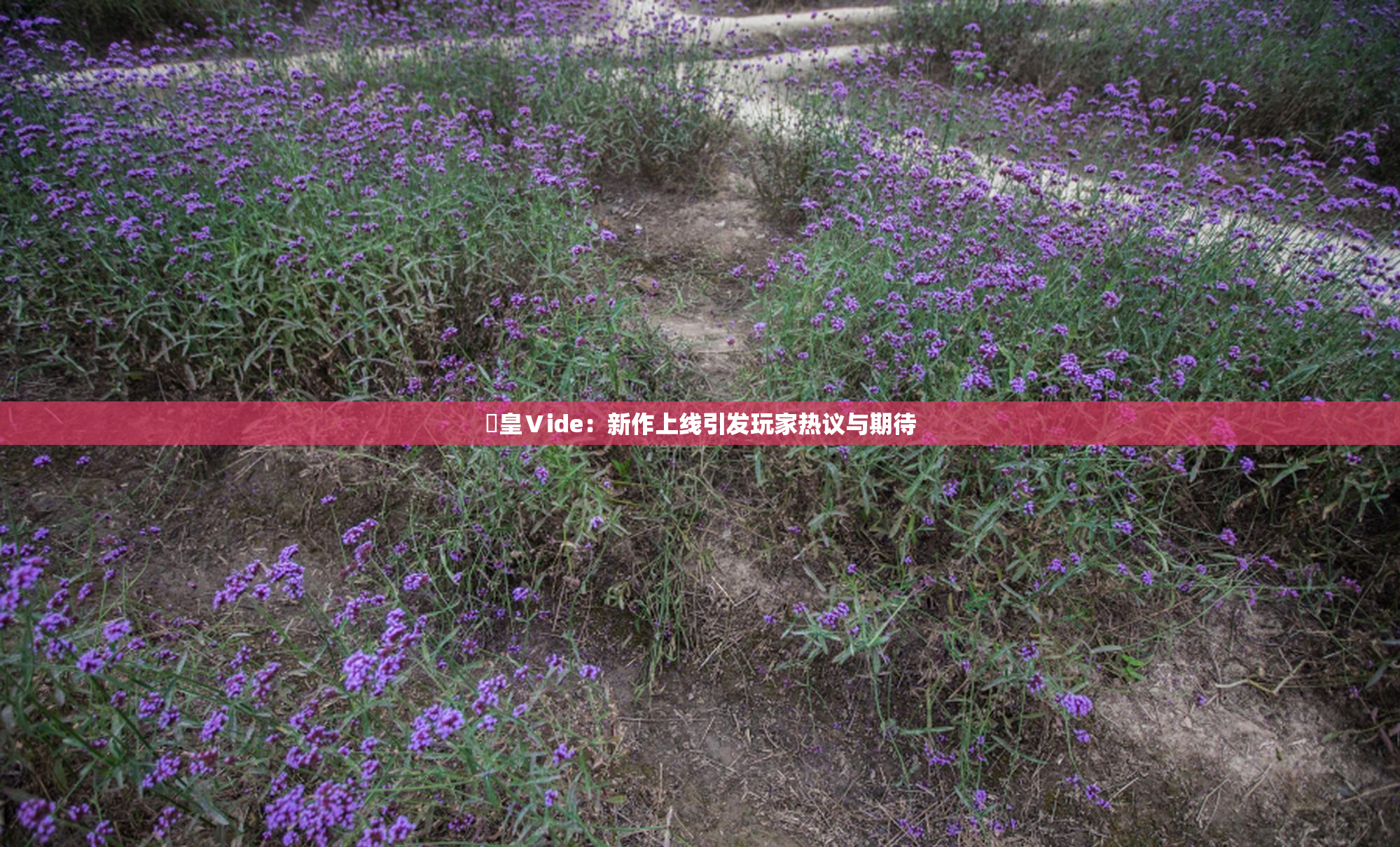 嘼皇Ⅴide：新作上线引发玩家热议与期待