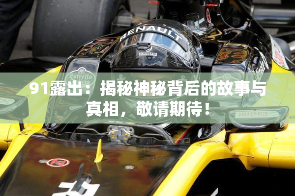 91露出：揭秘神秘背后的故事与真相，敬请期待！