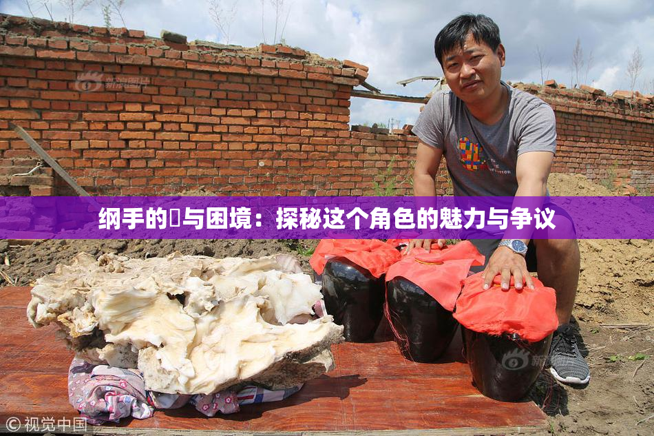 纲手的婬与困境：探秘这个角色的魅力与争议