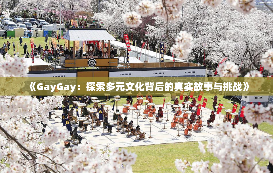 《GayGay：探索多元文化背后的真实故事与挑战》