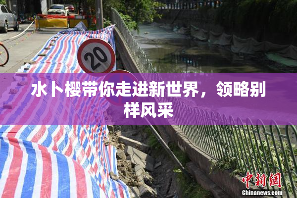 水卜樱带你走进新世界，领略别样风采