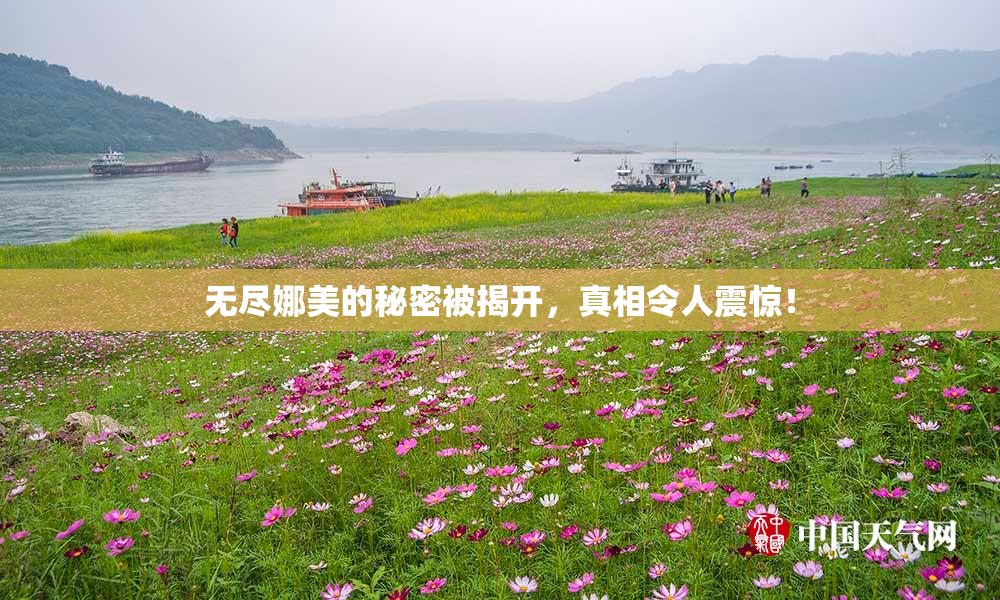 无尽娜美的秘密被揭开，真相令人震惊！