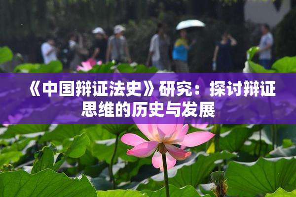《中国辩证法史》研究：探讨辩证思维的历史与发展