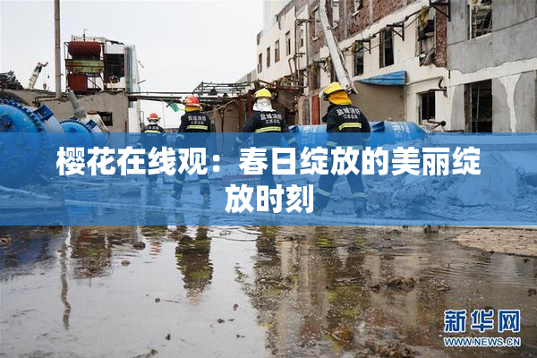 樱花在线观：春日绽放的美丽绽放时刻
