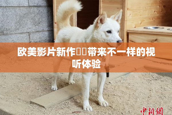 欧美影片新作❌‌带来不一样的视听体验