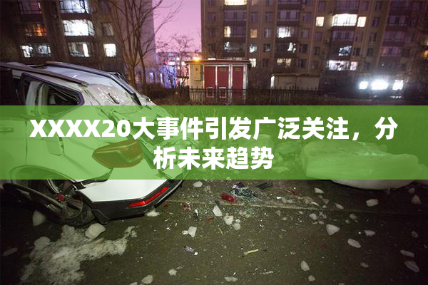 XXXX20大事件引发广泛关注，分析未来趋势