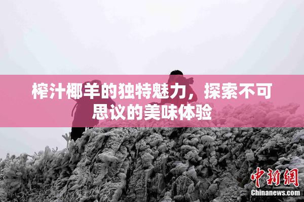 榨汁椰羊的独特魅力，探索不可思议的美味体验