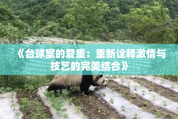 《台球室的爱重：重新诠释激情与技艺的完美结合》