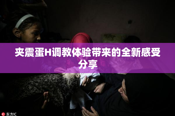 夹震蛋H调教体验带来的全新感受分享