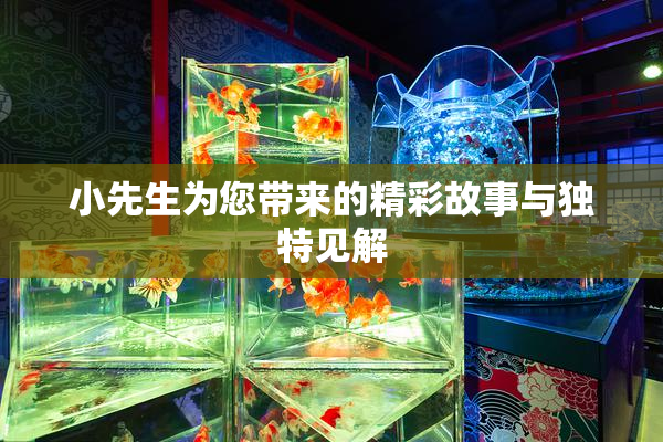 小先生为您带来的精彩故事与独特见解