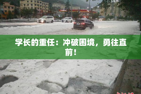 学长的重任：冲破困境，勇往直前！
