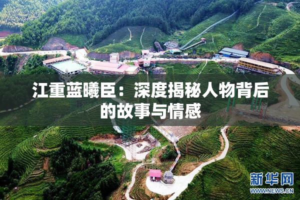江重蓝曦臣：深度揭秘人物背后的故事与情感
