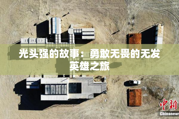光头强的故事：勇敢无畏的无发英雄之旅