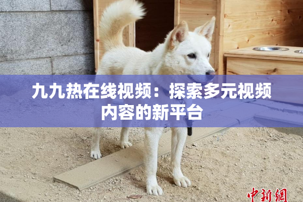 九九热在线视频：探索多元视频内容的新平台