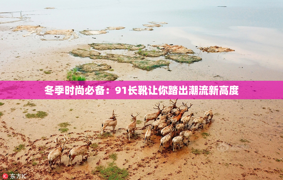 冬季时尚必备：91长靴让你踏出潮流新高度