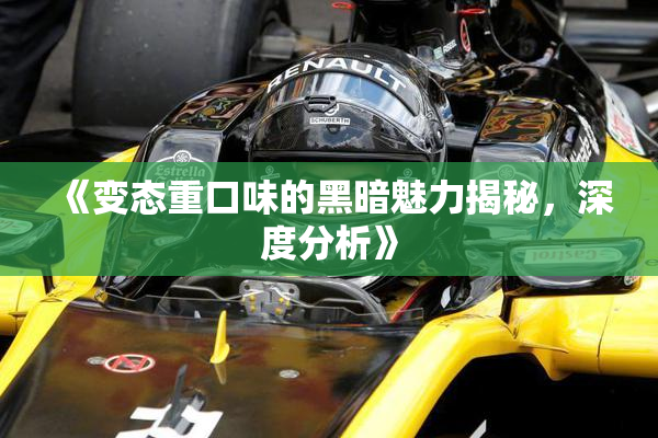 《变态重口味的黑暗魅力揭秘，深度分析》