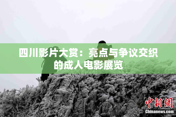 四川影片大赏：亮点与争议交织的成人电影展览