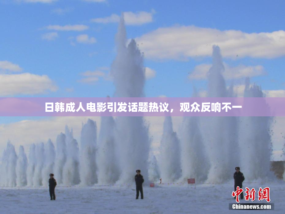 日韩成人电影引发话题热议，观众反响不一