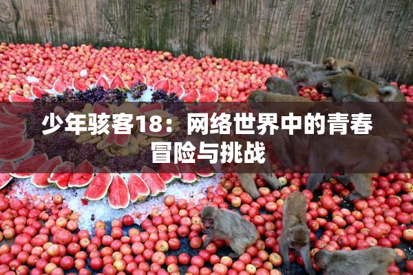 少年骇客18：网络世界中的青春冒险与挑战