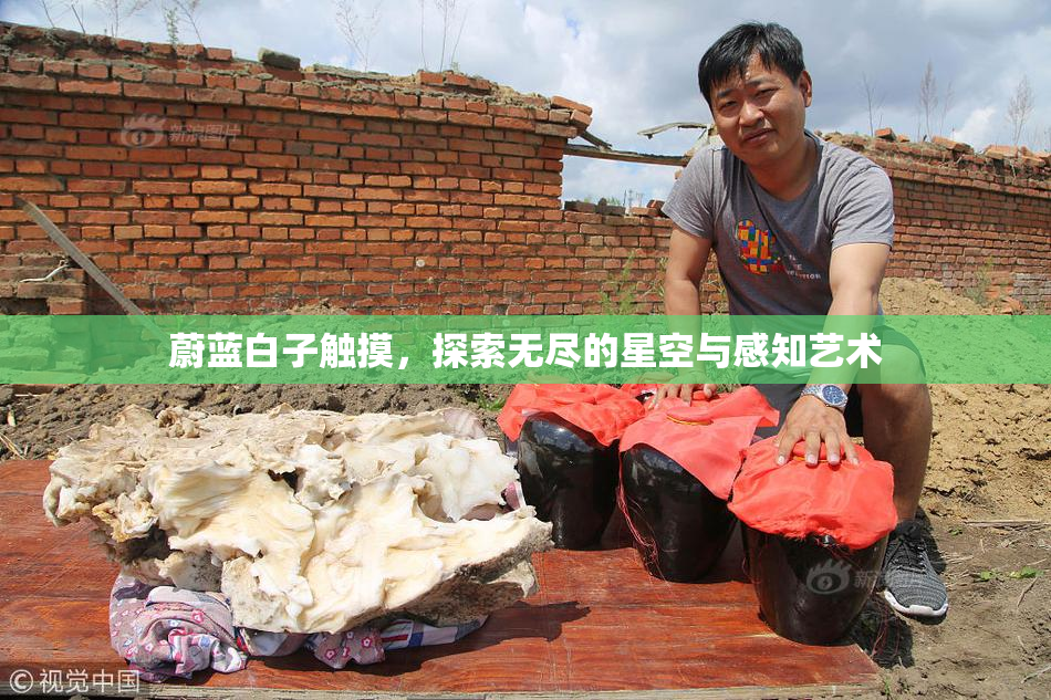 蔚蓝白子触摸，探索无尽的星空与感知艺术