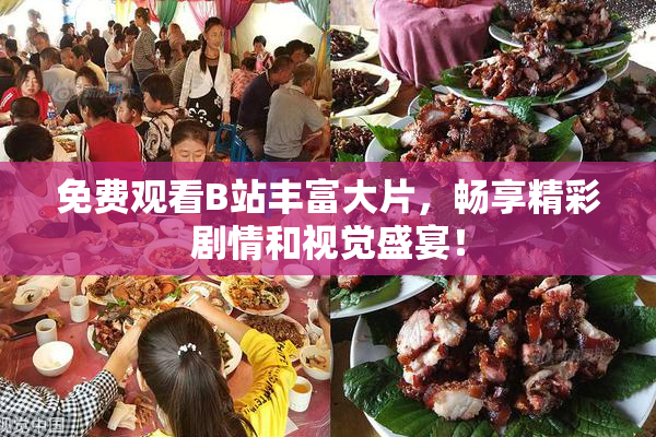 免费观看B站丰富大片，畅享精彩剧情和视觉盛宴！