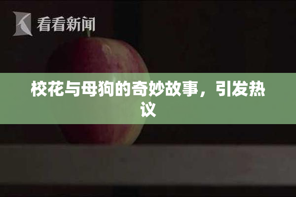 校花与母狗的奇妙故事，引发热议
