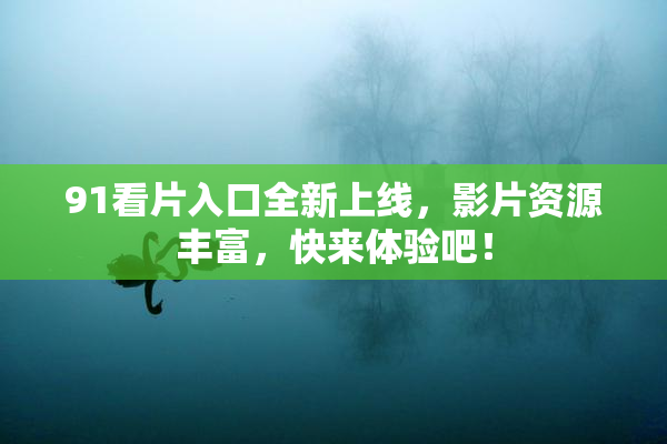 91看片入口全新上线，影片资源丰富，快来体验吧！