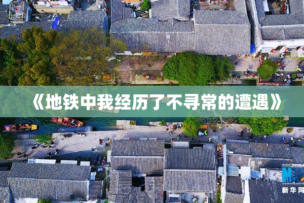 《地铁中我经历了不寻常的遭遇》