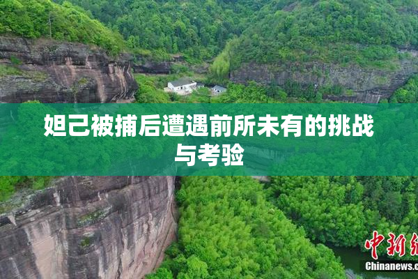 妲己被捕后遭遇前所未有的挑战与考验