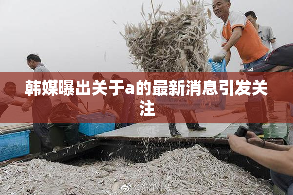 韩媒曝出关于a的最新消息引发关注