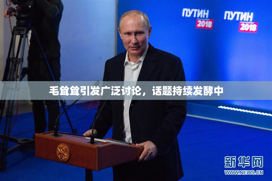 毛耸耸引发广泛讨论，话题持续发酵中