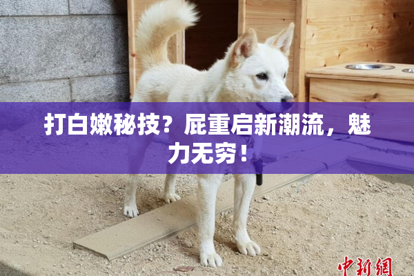 打白嫩秘技？屁重启新潮流，魅力无穷！